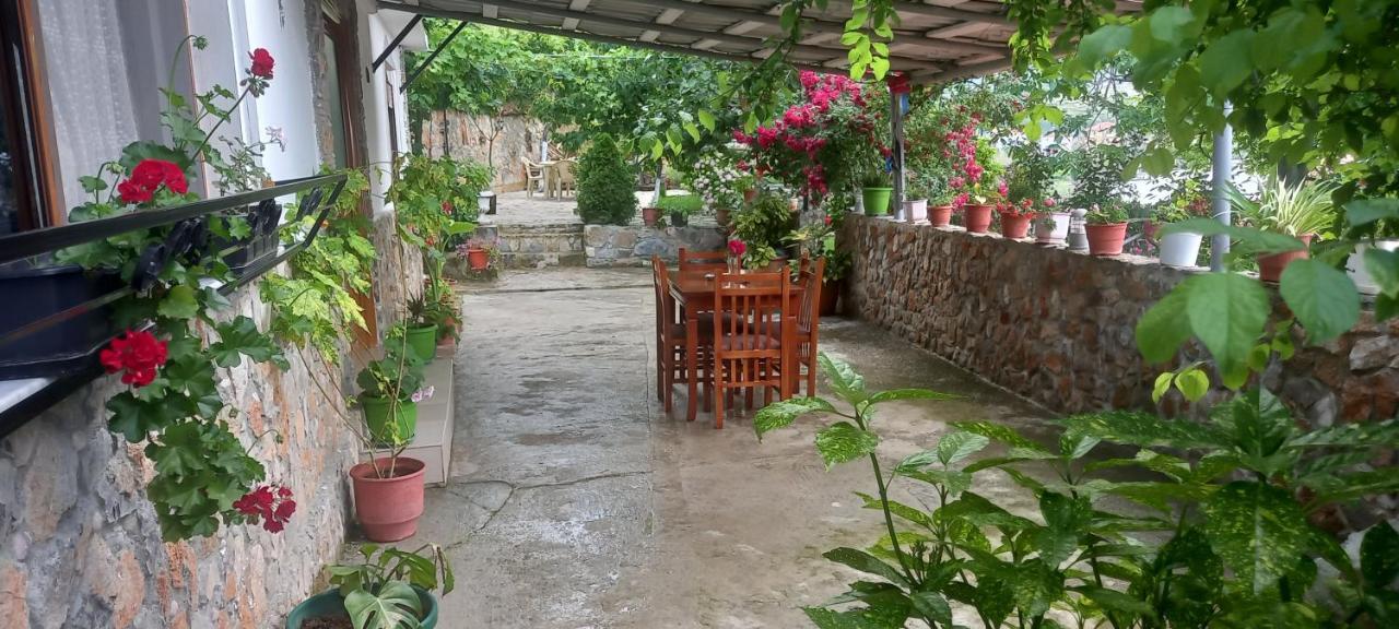 Roleo Guest House Lini Kültér fotó
